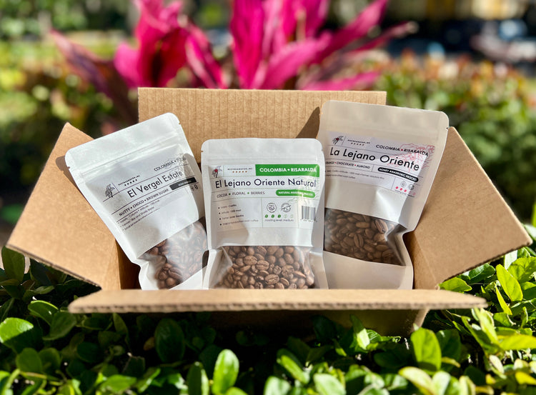 Coffee samples box 3-pack, whole beans, Specialty 100% Arabica Colombia, single origin, medium roast, natural and honey anaerobic, try'em all!