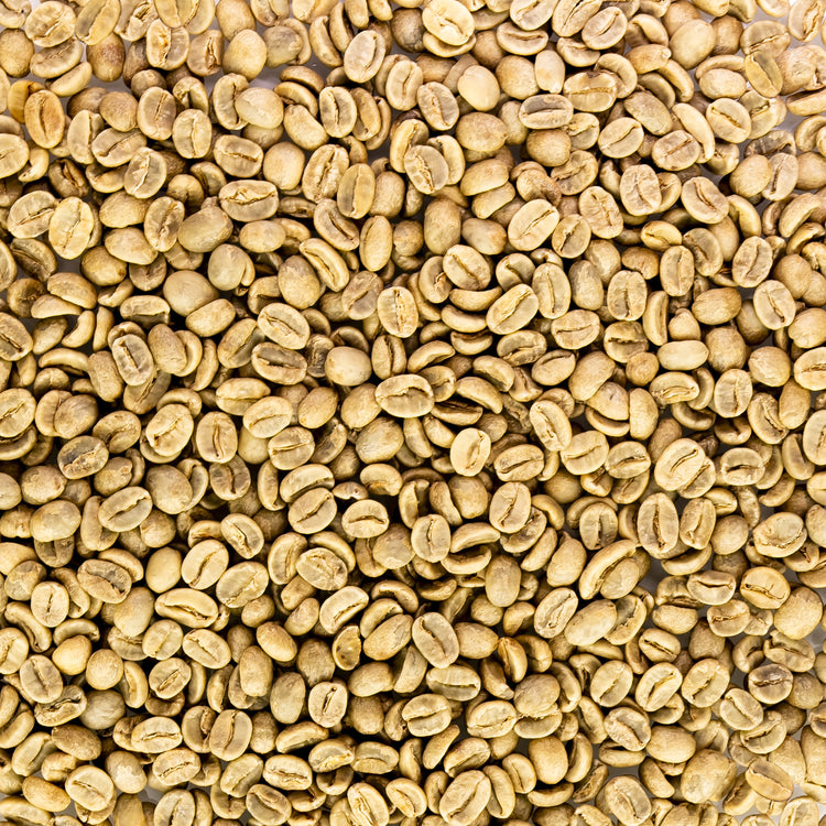 Single Origin Unroasted Green Coffee Beans for home roasting, From Peru, Specialty Grade