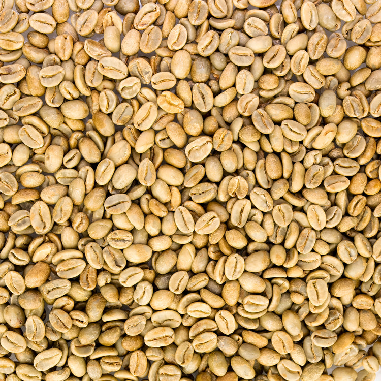 From Central Colombia Honey process, Specialty Grade, Single Origin Unroasted Green Coffee Beans for home roasting, our Farm Finca El Lejano Oriente, Castillo and Caturra Varietals.