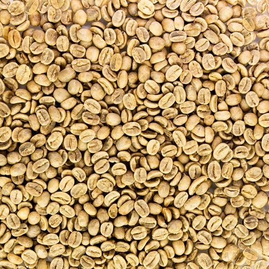 Single Origin Unroasted Green Coffee Beans for home roasting, From El Salvador, Specialty Grade , Finca Portezuel, Bourbon and Caturra Varietals