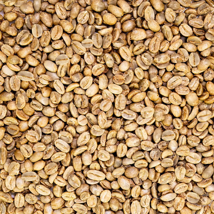 From Central Colombia Natural process, Specialty Grade, Single Origin Unroasted Green Coffee Beans for home roasting, our Farm Finca El Lejano Oriente, Castillo and Caturra Varietals